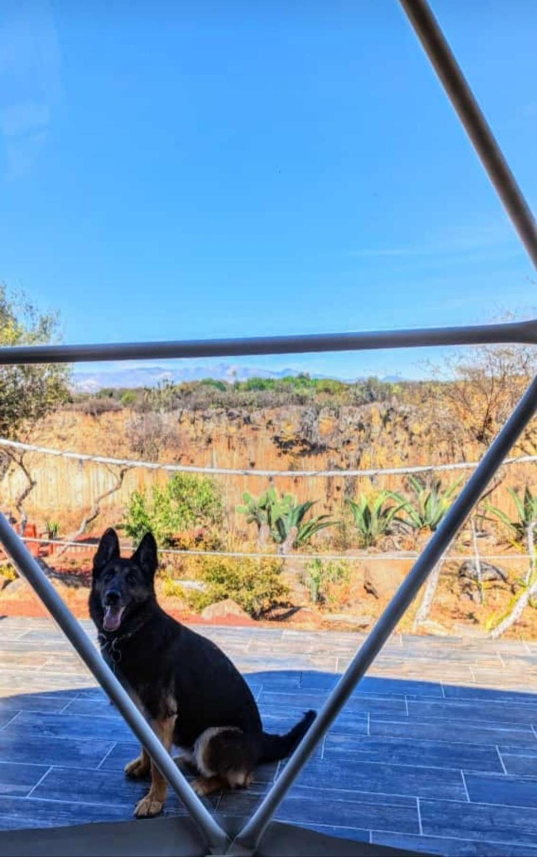 Готель El Gato Glamping Con Vista A Prismas Basalticos Уаска-де-Окампо Екстер'єр фото